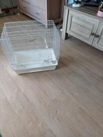 Witte vogelkooi, Dieren en Toebehoren, Ophalen, Metaal, Vogelkooi