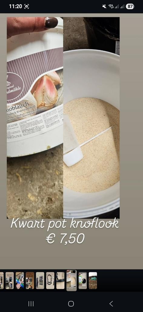 Knoflook paard, Ophalen of Verzenden