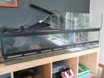 Terrarium straat, Dieren en Toebehoren, Reptielen en Amfibieën | Toebehoren, Ophalen, Zo goed als nieuw, Terrarium of Paludarium