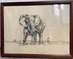 Poppe DAMAVE - Tekening Olifant, Ophalen