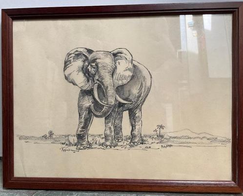 Poppe DAMAVE - Tekening Olifant, Antiek en Kunst, Kunst | Schilderijen | Klassiek, Ophalen