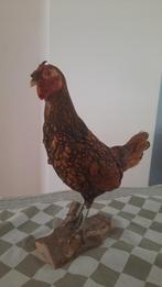 Hele mooie opgezette kip... eigenlijk is het een haantje!, Ophalen of Verzenden, Zo goed als nieuw, Vogel, Opgezet dier