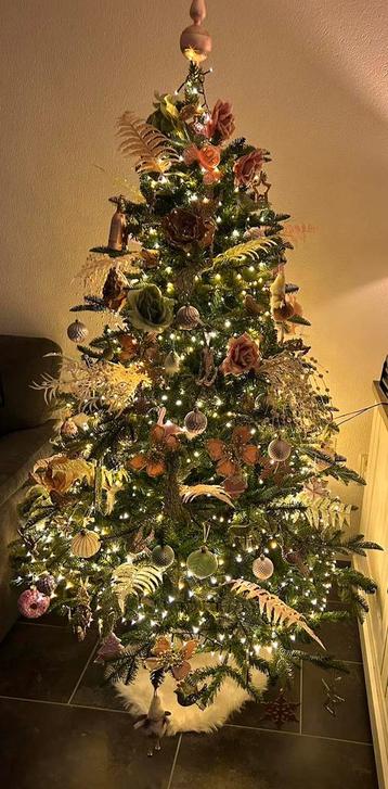Kerst zonder zorgen, met een boom die betovert!  beschikbaar voor biedingen