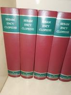 Sesam encyclopedie 21-delig, Boeken, Encyclopedieën, Algemeen, Complete serie, Zo goed als nieuw, Ophalen