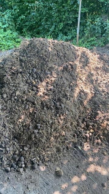 Compost / paardenmest beschikbaar voor biedingen