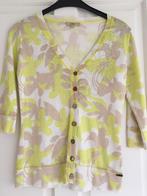 nieuw vest, top, truitje, S lime groen/ en 2 witte van didi, Kleding | Dames, Overige kleuren, Nieuw, Didi, Ophalen of Verzenden