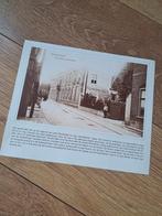 Oude ansichtkaarten van het Westland, Ophalen, Voor 1920, Ongelopen, Overig Europa
