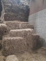 Hooi hooibalen, Dieren en Toebehoren, Ophalen, Vee