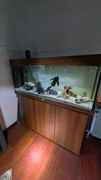 JUWEL Aquarium donker hout 240 L, 121x41x55 cm + verlichting, Dieren en Toebehoren, Ophalen, Zo goed als nieuw, Leeg aquarium