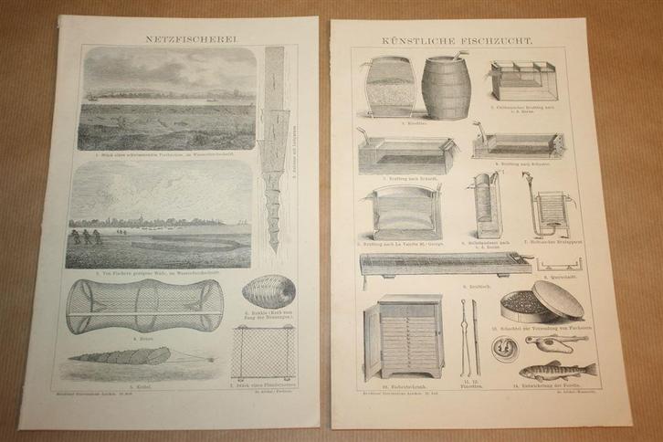 2 antieke prenten - Visteelt & Visserij - Circa 1885 !!, Verzamelen, Foto's en Prenten, Gebruikt, Overige onderwerpen, Voor 1940