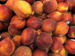 Hoogstam fruitbomen appel en peer - Diverse rassen, Lente, Volle zon, In pot, Ophalen of Verzenden