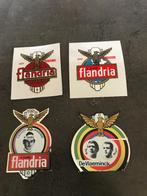 Flandria stickers, Fietsen en Brommers, Ophalen of Verzenden, Nieuw, Overige typen, Overige merken