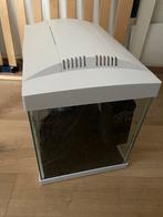 Aquaria + waterpomp, Dieren en Toebehoren, Vissen | Aquaria en Toebehoren, Ophalen, Leeg aquarium