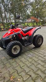 Quad 170cc SMC met autokenteken, 170 cc