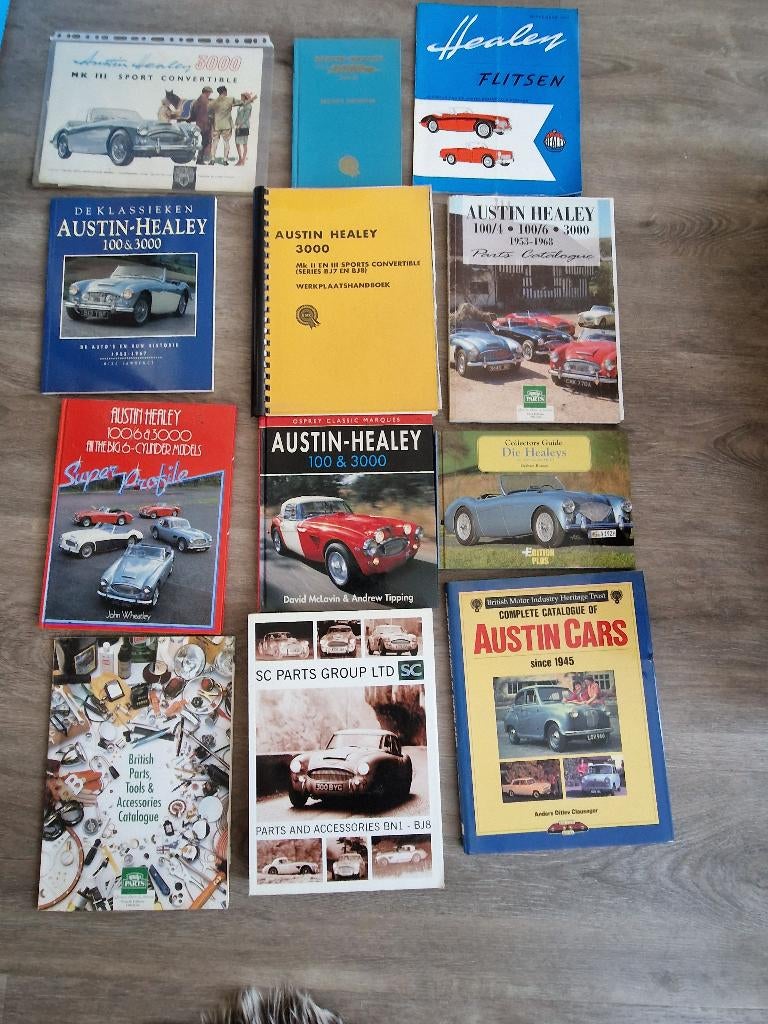 Classic Cars / Austin Healy, Ophalen of Verzenden, Gelezen, Overige merken