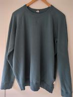 Mooie Dilling Merino Wollen Sweater - Maat 46, Ophalen of Verzenden, Zo goed als nieuw, Maat 46/48 (XL) of groter