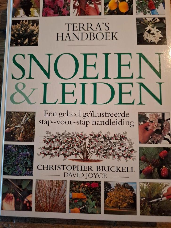 Terra's Handboek Snoeien & Leiden - Tuinieren, Boeken, Wonen en Tuinieren, Zo goed als nieuw, Tuinieren en Tuinplanten, Ophalen of Verzenden