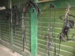Paardentuig, Dieren en Toebehoren, Paarden en Pony's | Hoofdstellen en Tuigage, Ophalen, Gebruikt, Overige soorten