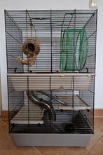 Hamsterkooi groot met veel accessoires, Zo goed als nieuw, Ophalen