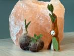 Wortelkindje met 3 kiembolletjes wol seizoentafel voorjaar, Hobby en Vrije tijd, Vilt, Ophalen of Verzenden, Nieuw, Figuurtje(s)