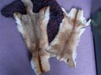 2 vintage echte red fox bontvellen voor decoratie bont plaid, Ophalen of Verzenden, Zo goed als nieuw, Rood