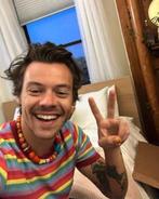 Harry Styles Spullen Gezocht: Of Ruilen, Ophalen of Verzenden