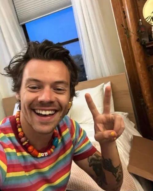 Harry Styles Spullen Gezocht: Of Ruilen, Verzamelen, Complete verzamelingen en Collecties, Ophalen of Verzenden