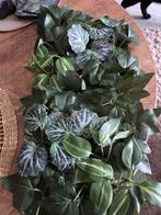 2 stuks kunstplanten om op te hangen, Ophalen of Verzenden, Nieuw