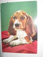 9492 honden, Verzenden, Zo goed als nieuw, Duplo