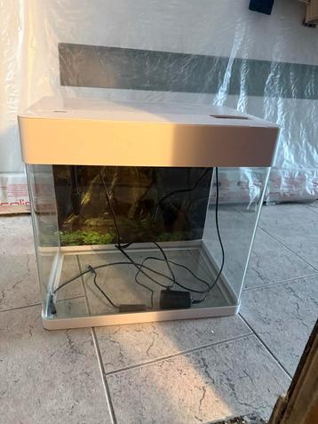 Aquarium beschikbaar voor biedingen