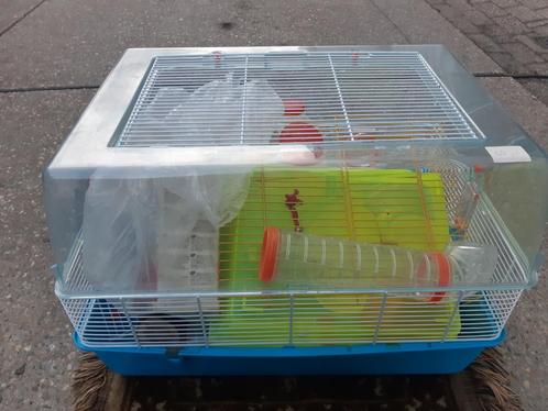 MOOIE VERZORGDE HAMSTER KONYN KOOI 24.95 EURO, Dieren en Toebehoren, Knaagdieren en Konijnen | Hokken en Kooien, Zo goed als nieuw