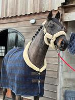 Kentucky Fleece Show Rug Heavy 215, Dieren en Toebehoren, Paarden en Pony's | Dekens en Dekjes, Ophalen of Verzenden, Gebruikt