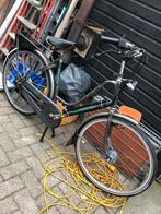 Mooie spartamet, 51 tot 55 cm, Ophalen of Verzenden