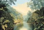 Jungle landschap fotobehang River, ook op maat, Muurdeco, Huis en Inrichting, Stoffering | Behang, Verzenden, Minder dan 10 m²
