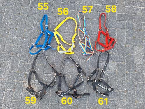 Halster cob - menhalster - nieuw - zo goed als nieuw, Dieren en Toebehoren, Paarden en Pony's | Overige Paardenspullen, Zo goed als nieuw