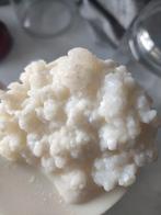 melk kefir, Ophalen of Verzenden