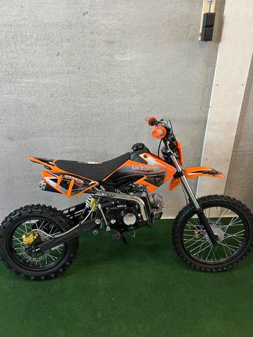 Nieuwe Ultra 125CC pitbike 4-takt/schakel/hydraulisch beschikbaar voor biedingen