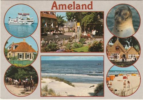 AMELAND Veerboot Huis Paarden Centrum Strand Zeehond, Verzamelen, Ansichtkaarten | Nederland, Gelopen, Waddeneilanden, 1980 tot heden