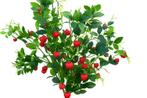 Partij kunstplanten kunsttakken 110 cm, lampionplant kunst, Binnen, 3811JM, Info@rodebeagle.nl, Rode Beagle kunstbloemen