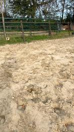 Bestratings/rijbakzand m3c zand, Dieren en Toebehoren, Stalling en Weidegang