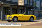 Austin Healey 100 6 100/6 (bj 1957), Overige merken, Overige kleuren, Cabriolet, Origineel Nederlands