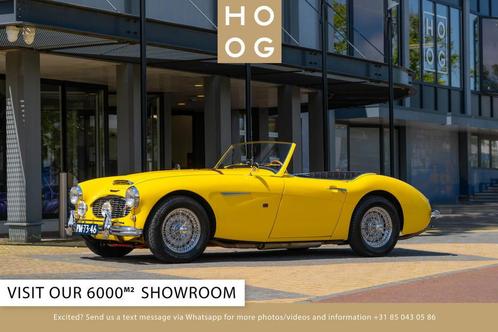 Austin Healey 100 6 100/6 (bj 1957), Auto's, Oldtimers, Bedrijf, Te koop, Open dak, Overige merken, Benzine, Cabriolet, Handgeschakeld
