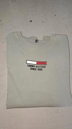 Tommy Hilfiger sweater lichtgroen maat 176, Trui of Vest, Zo goed als nieuw, Jongen, Tommy hilfiger