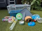 Kooi voor hamster…, Dieren en Toebehoren, Knaagdieren en Konijnen | Hokken en Kooien, Minder dan 60 cm, Kooi, Minder dan 75 cm