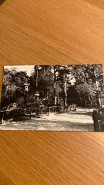 Norg. Vluchrheuvel, Ophalen of Verzenden, Ongelopen, Drenthe