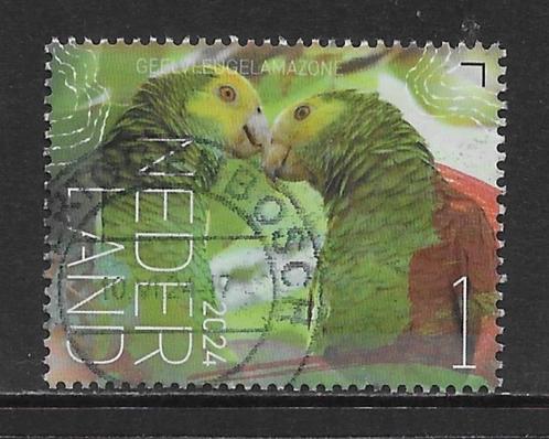 2024, Vogels Bonaire, Geelvleugelamazone [4170] (K2505), Postzegels en Munten, Postzegels | Nederland, Ophalen of Verzenden