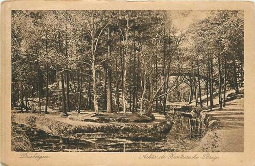 (380-032-027) Driebergen  Zwitsersche Brug, Verzamelen, Ansichtkaarten | Nederland, Utrecht, Verzenden