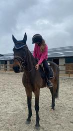 Verzorg paard/pony gezocht!, Ophalen of Verzenden, Zo goed als nieuw
