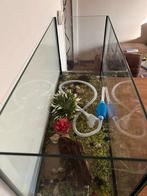 Aquarium / Terarium 80x 30x 40 cm glas op glas., Ophalen, Leeg aquarium