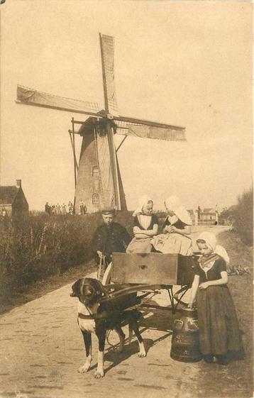 (388-035-033) Zeeland Walchersche Hondenkar beschikbaar voor biedingen